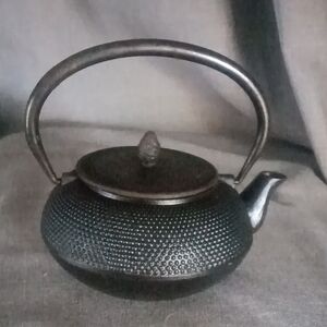 Elegant Black Cast Iron Teapot